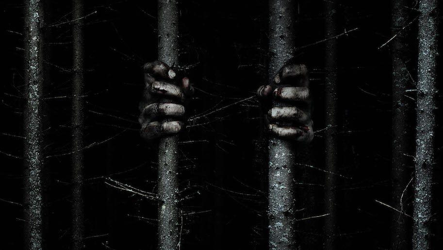 L’horror diretto da Adam Wingard dal titolo The Woods sarà proiettato al San Diego Comic-Con