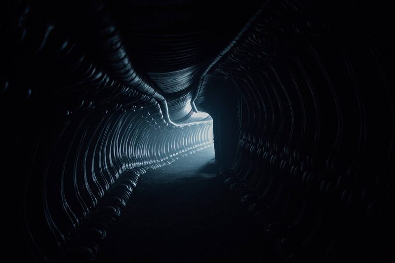 Violenza, sangue e mistero nel primo terrificante trailer italiano di Alien: Covenant