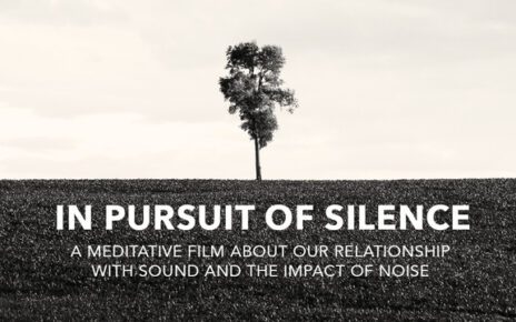 in pursuit of silence critica