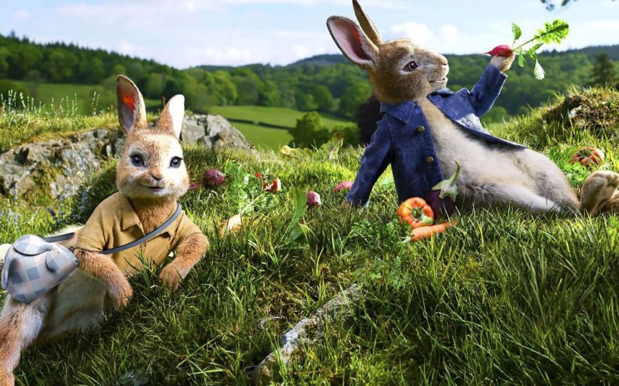 peter rabbit film