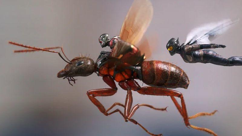 ant-man and the wasp foto ew