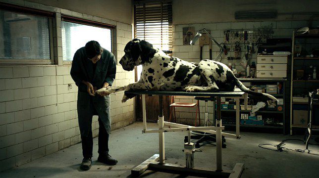 Oscar 2019 – Dogman fuori dalla corsa per il miglior film straniero