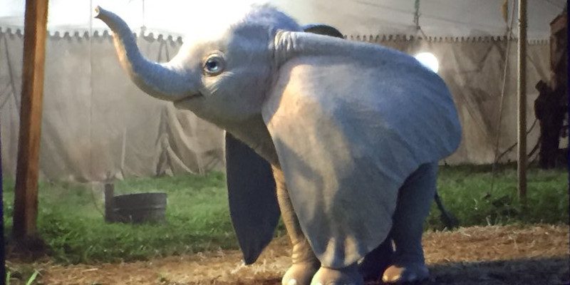 Il commovente teaser trailer italiano di Dumbo, il film Disney di Tim Burton