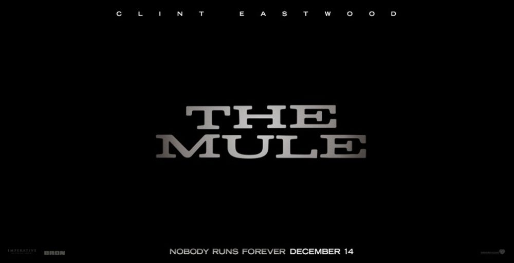 the mule film