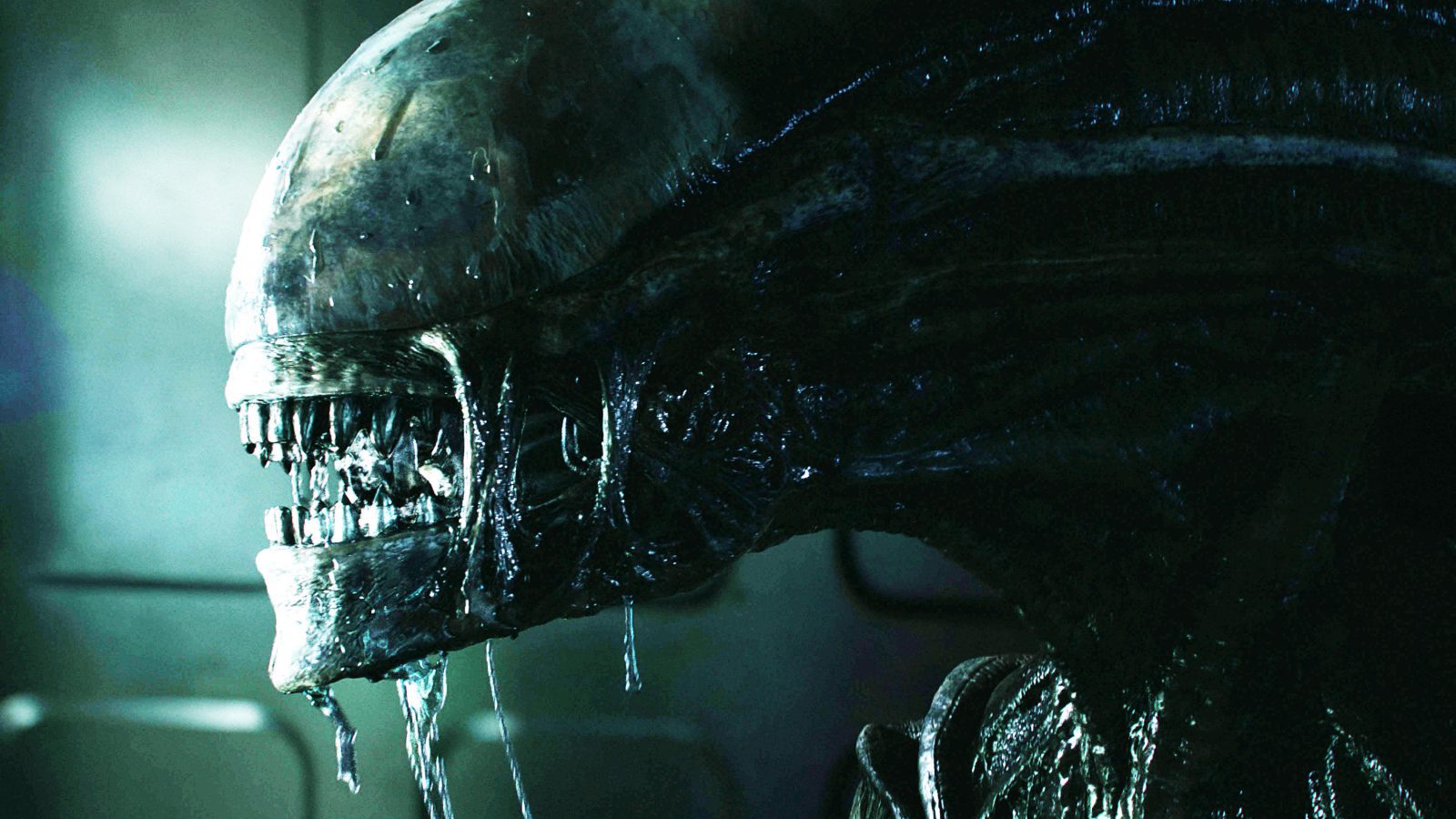 Alien nuovo film fede alvarez