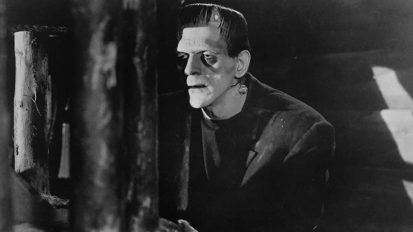 Frankenstein, il film di Guillermo Del Toro