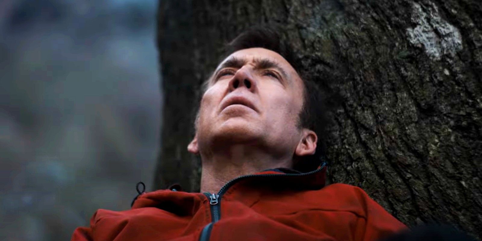 Arcadian: il trailer dell’horror sci fi con Nicolas Cage