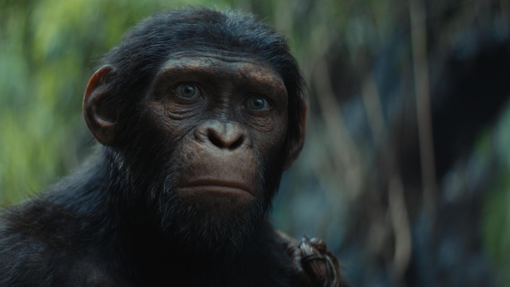 Il Regno del Pianeta delle Scimmie: il primo spot dal film