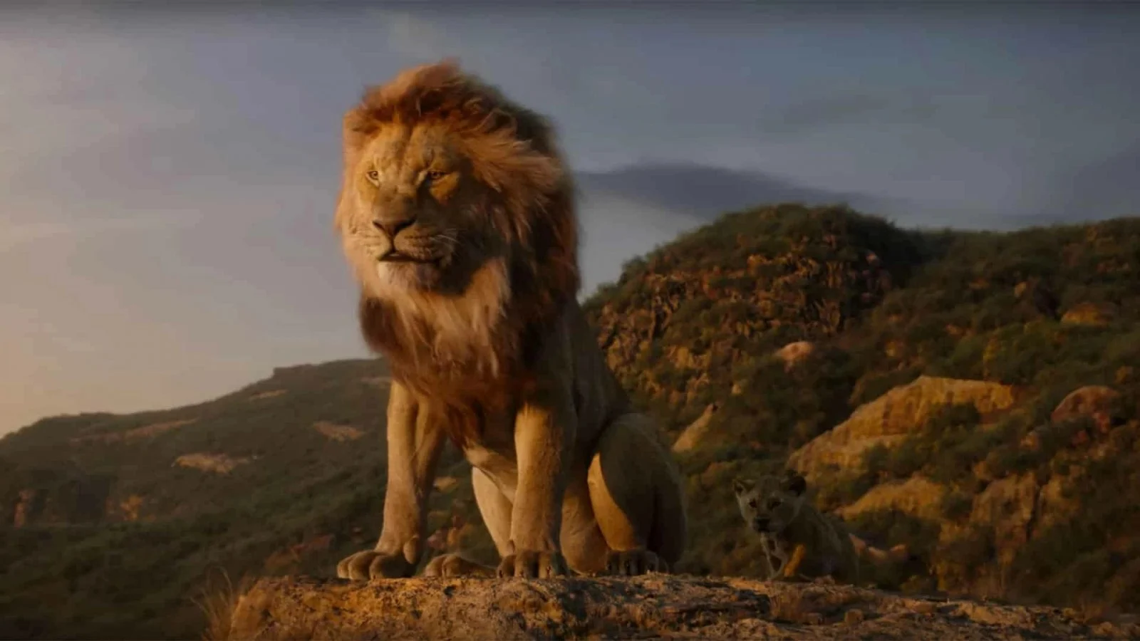 Musafa: Il Re Leone, la descrizione del trailer